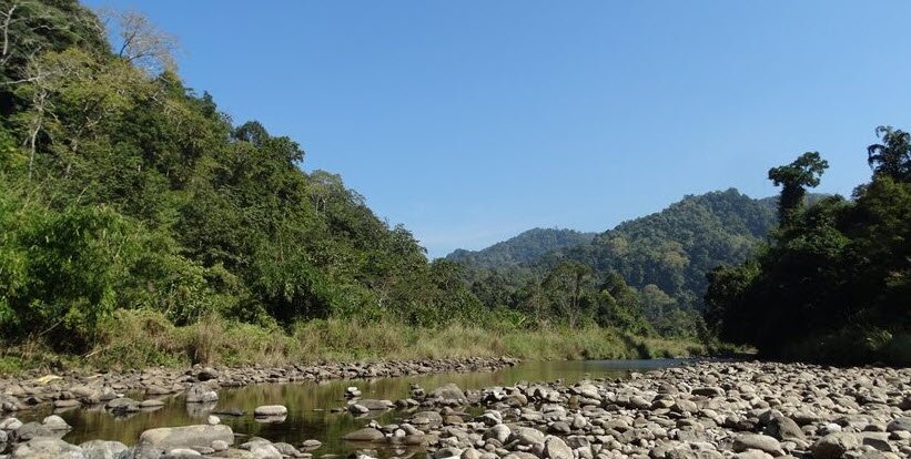 Borail Wildlife Sanctuary